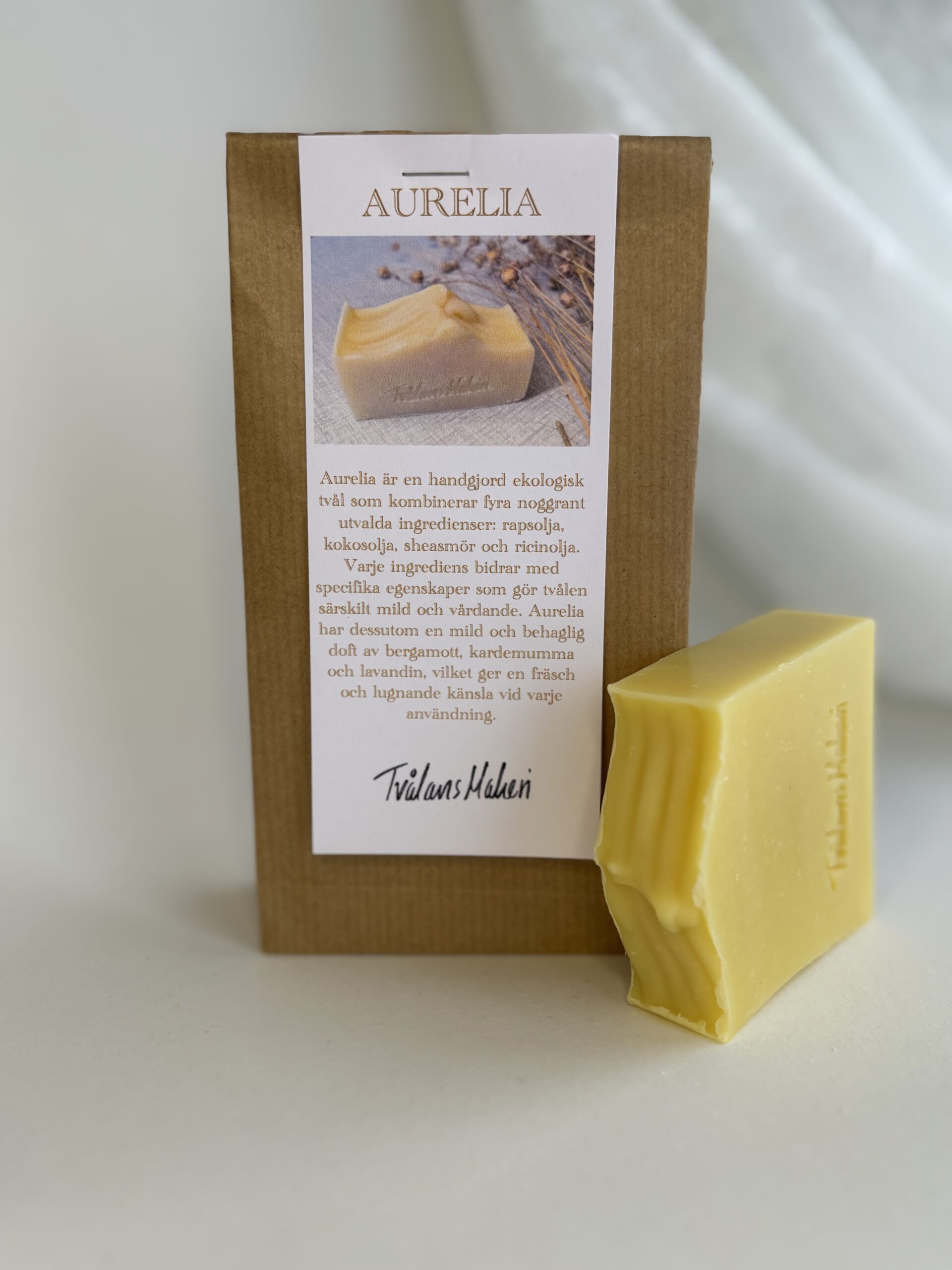 Aurelia - Bild 2